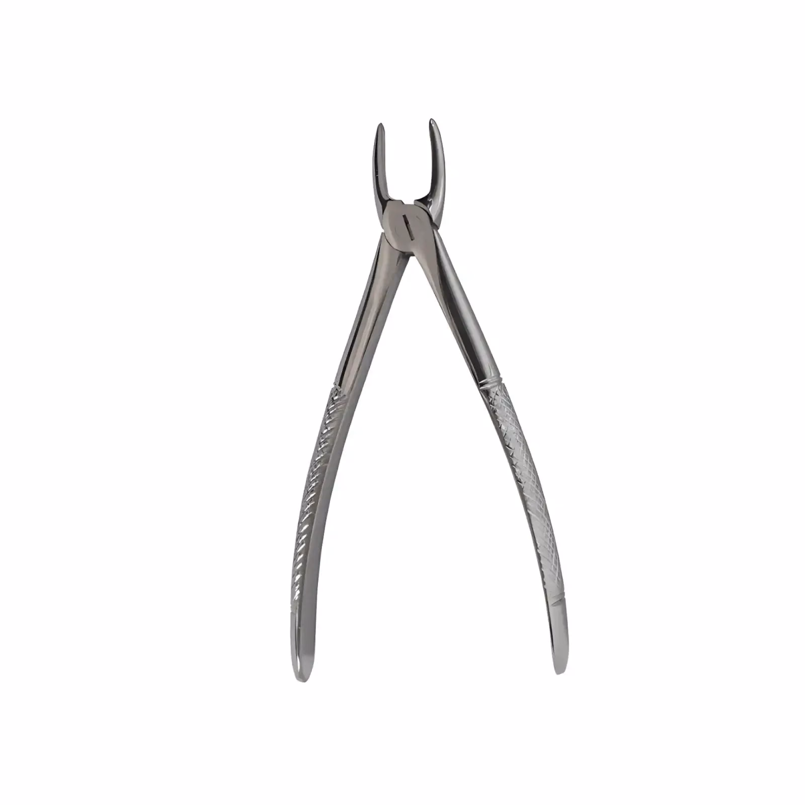 FORCEPS RECTO ADULTO