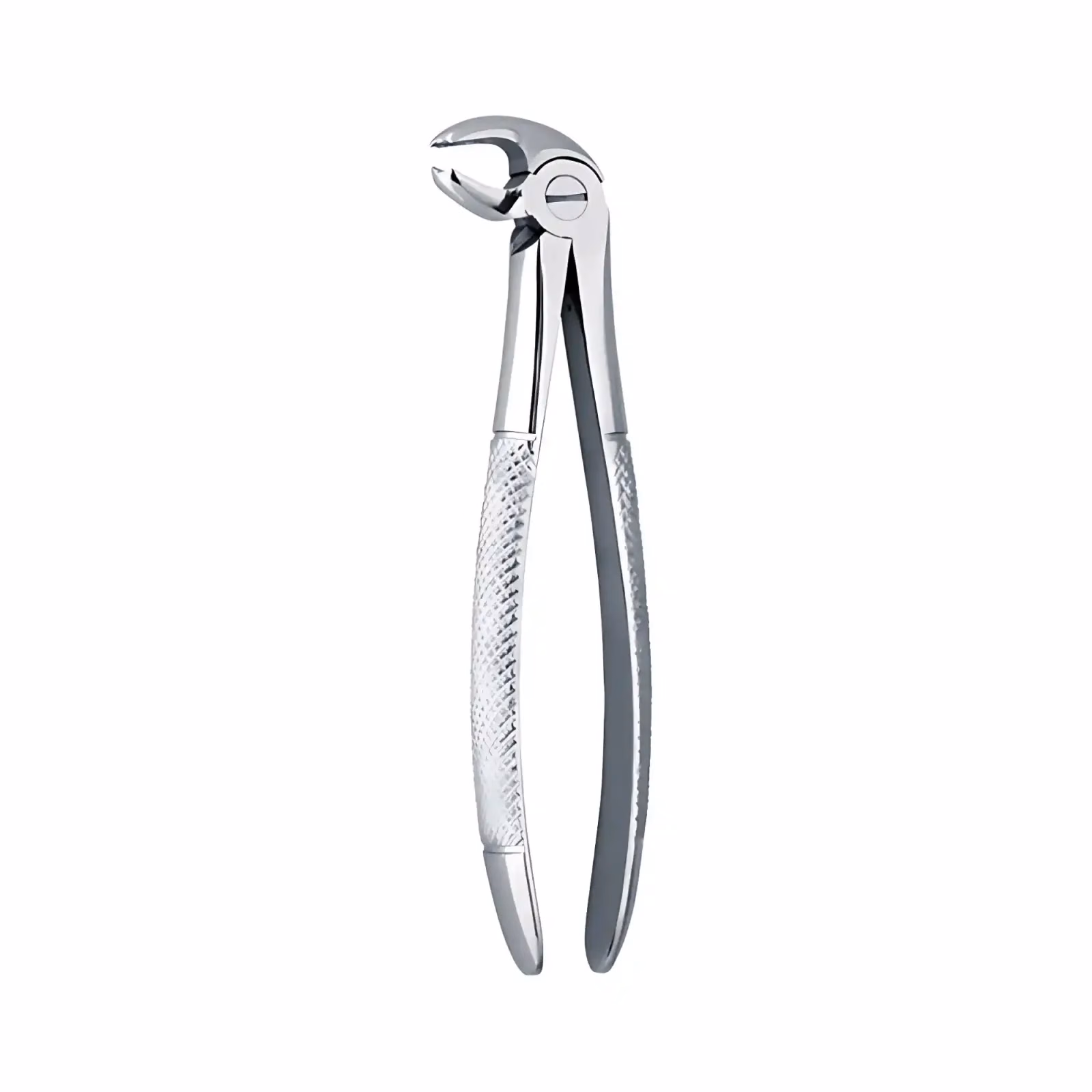 Forceps Curvo S / Borde Adulto