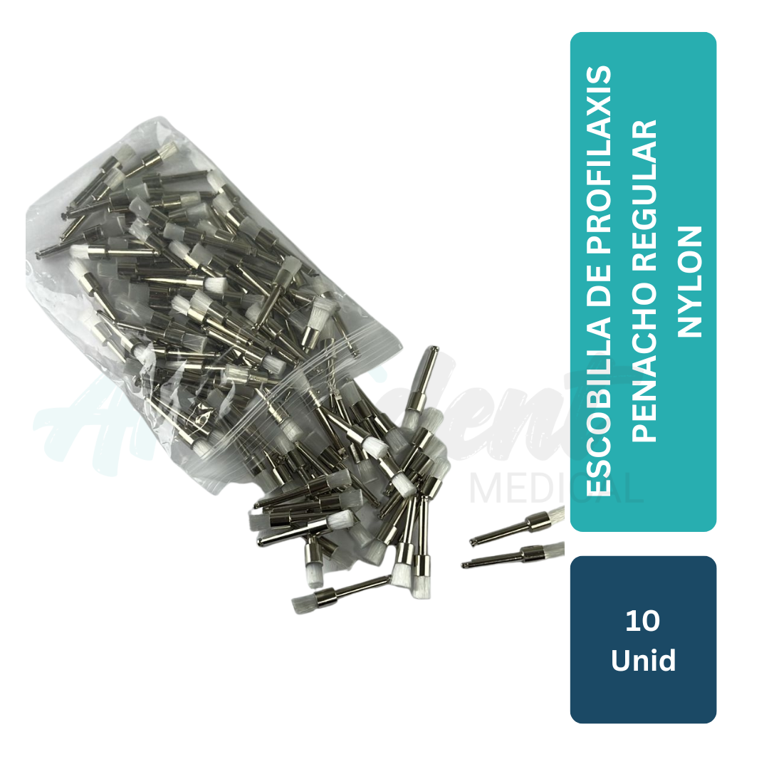 Escobilla de Profilaxis Penacho 10 Unid