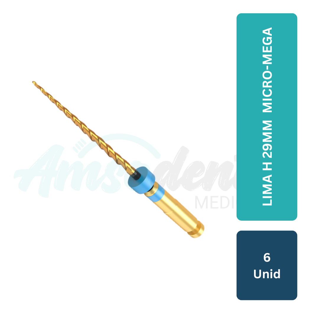 Lima H 29mm 6 unid Micro-Mega