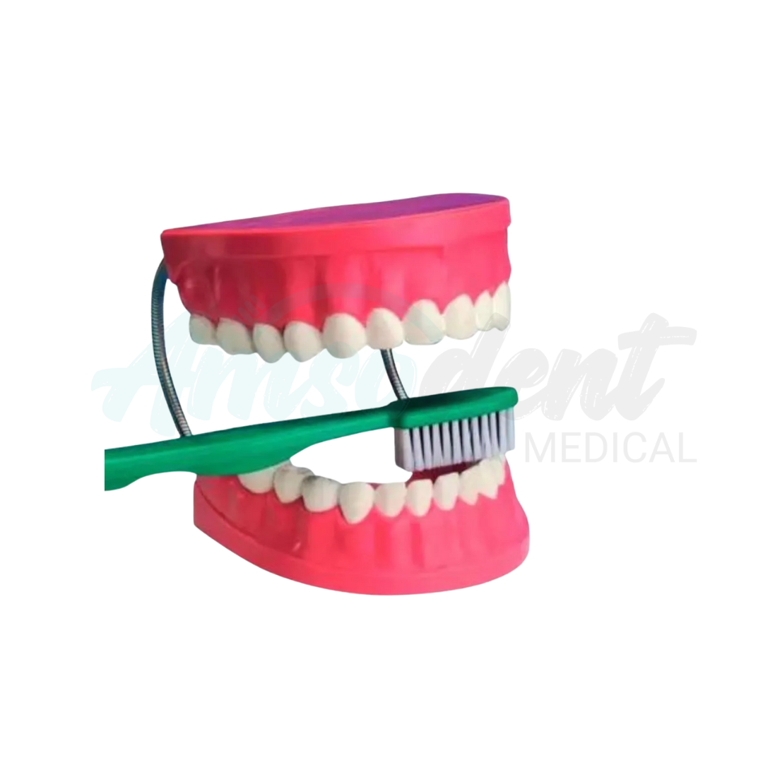 macromodelo con cepillo